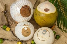 越南椰类产品出口额即将跻身10亿美元俱乐部