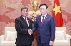 越南国会主席 王廷惠会见老挝国会副主席坎百·丹拉