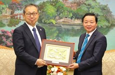 陈红河副总理：越南愿意与日本合作履行全球承诺和目标