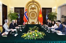 越南与挪威第9次政治磋商在河内举行