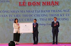 岘港市“五行山摩崖”世界记忆亚太地区名录证书颁发仪式举行