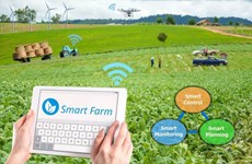 数字化转型：印尼推动农业数字化发展
