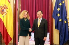 越南政府副总理陈流光会见西班牙众议院议长梅里特塞尔·巴特