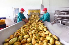 在中国打造越南农产品品牌