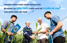 菲仕兰康柏尼（越南）公司总经理：奶农促进越南乳业的重大变革