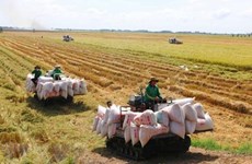 越南农业与农村发展部副部长陈青南：建设可持续发展的稻米价值链与促进绿色增长齐头并进