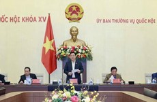 越南国会主席王廷惠：加强防范立法腐败