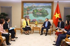 越南政府副总理陈红河会见联合国儿童基金会驻越代表处代表