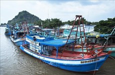 越南各地严厉打击非法捕捞行为