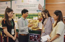 打造优质越南咖啡产业链 促进绿色增长和可持续发展