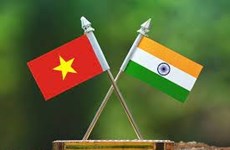 越南出席在印度召开的第28届伙伴关系峰会