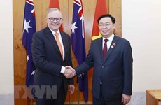 越南与澳大利亚战略伙伴关系5周年：专家积极评价双边成果