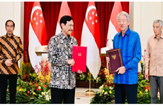新加坡与印尼加强能源等领域的合作关系
