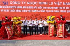 越南芹苴市首批超18吨Ri6榴莲通过正贸渠道出口中国