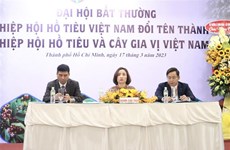 越南胡椒协会更名为越南胡椒与香料树协会