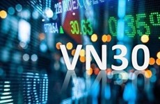 2月份越南衍生品市场：VN30股指期货合约日均成交量环比增长17% 