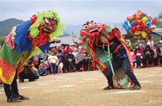  保护与弘扬谅山省猫头狮舞传统价值