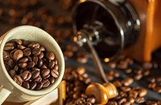 越南对荷兰的的咖啡出口呈三位数增长