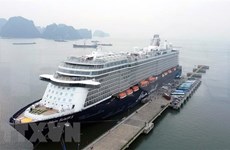 广宁省下龙湾迎来载有2000多名国际游客的邮轮