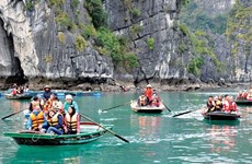 截至2023年第一季度末越南国际游客接待量超过269万人次