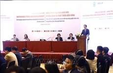 越南与国际代表分享解决战争遗留爆炸物问题的经验