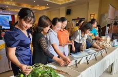 越南强调妇女在应对气候变化以及在减轻灾害风险中的重要作用