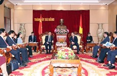 越南岘港市和中国广西壮族自治区加强合作关系 