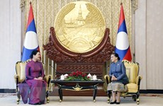 越南-老挝两国加强妇女联合会之间的合作        