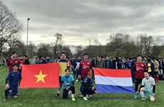 越荷关系50周年：由在荷越南人承办的2023年荷兰体育公开赛首次举行