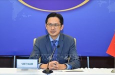 越南副外长杜雄越：越南积极合作应对湄公河流域挑战