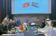 越南与阿联酋启动全面经济伙伴关系协定谈判 