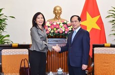 越南外交部长裴青山会见联合国驻越南协调员