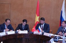 俄罗斯越南促进多个领域的双边合作关系