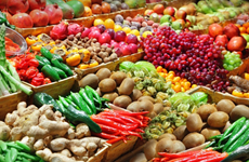 2023年第二季度蔬果出口可继续增长