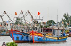 清化省加强渔船管控  致力解除IUU黄牌警告