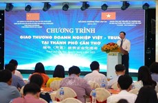 越中经贸企业交流会在芹苴市举行