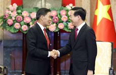 越南国家主席武文赏会见老挝建国阵线中央委员会代表团