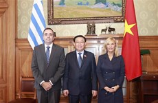  越南国会主席王廷惠与乌拉圭众议长安杜哈尔举行会谈