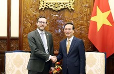 英国驻越南大使：越英关系正处于活跃发展期
