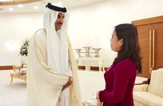 越南驻卡塔尔大使陈德雄：越卡双边合作关系潜力巨大