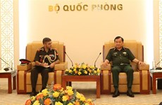 越南与印度加强国防领域的合作