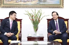 越南与日本合作解决人力资源发展相关问题