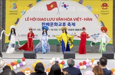 在韩国传播越南传统文化 