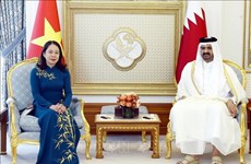 越南国家副主席与卡塔尔副埃米尔举行会谈