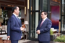 第42届东盟峰会：越南政府总理范明政会见印尼总统佐科·维多多