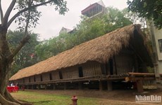 越南民族学博物馆努力保护埃地族的传统长屋