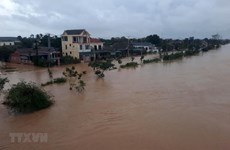 厄尔尼诺现象导致越南降雨量减少 台风突然来袭