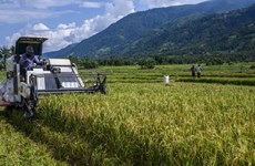印度尼西亚与韩国签署农业合作协议