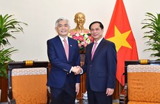 越南与新加坡外交部举行第15次政治磋商