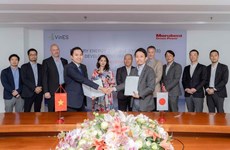 越南VinES与日本Marubeni合作在越南开发电池储能系统 